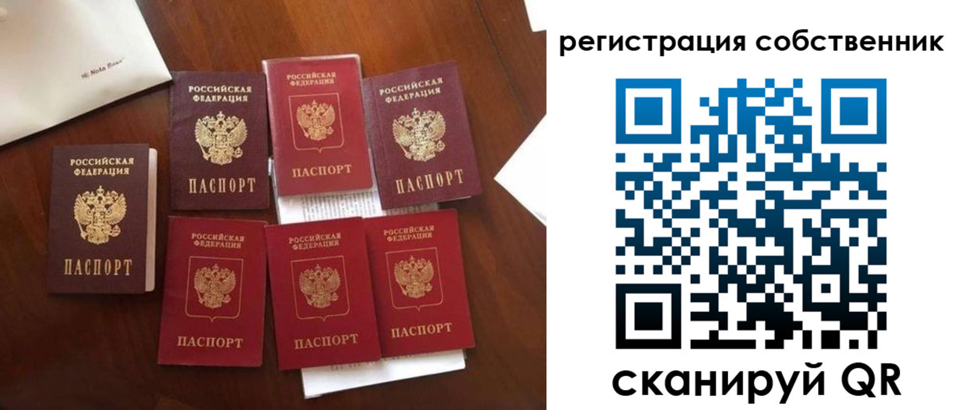 найти адрес прописки в Нелидово